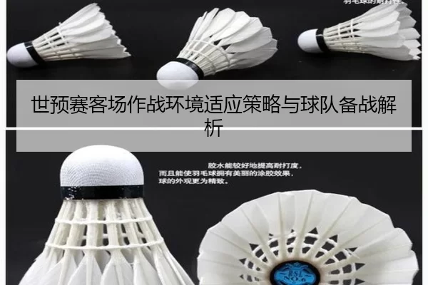 世预赛客场作战环境适应策略与球队备战解析