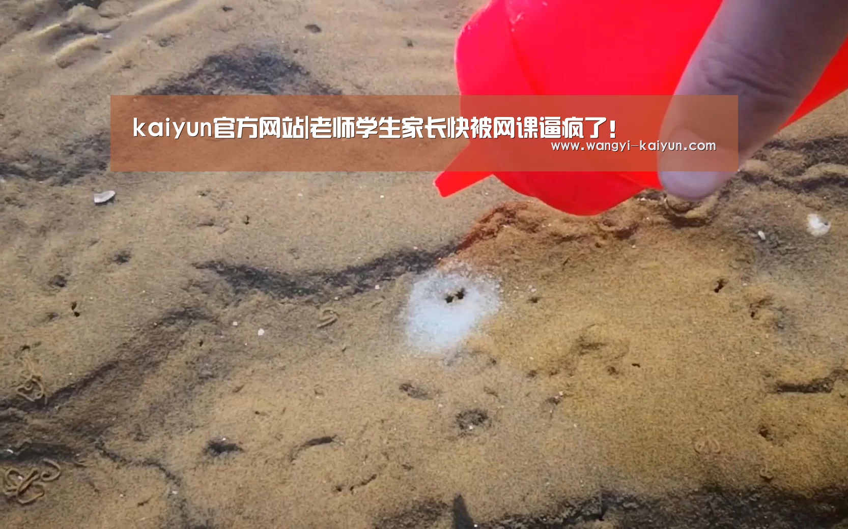 kaiyun官方网站|老师学生家长快被网